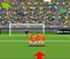 Flashgol Flashgol